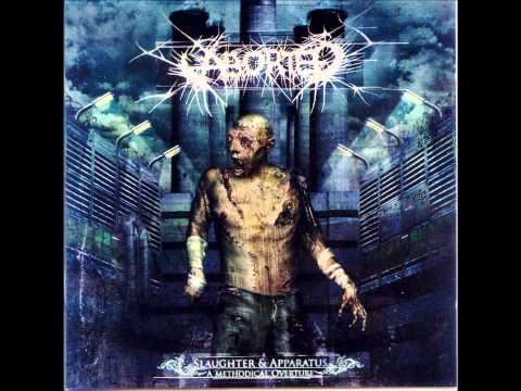 Aborted - The Chondrin Enigma HD Lyrics