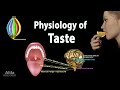 Taste: Anatomy and Physiology, Animation