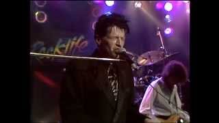 Herman Brood & His Wild Romance Live @ Rockpalast 11-12-1990 Köln