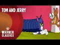 Tom And Jerry Mega Compilation Vol 15 Quackers And Friends Warner Classics