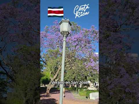 🇨🇷Hemoso verano en San José, Costa Rica🇨🇷 #costarica #sanjosecostarica #tiquicia #travelingisfreedom