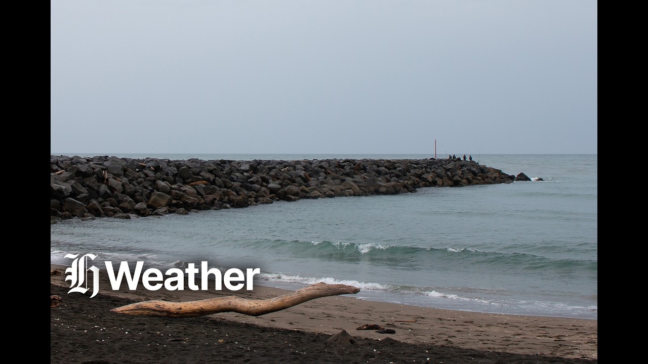 MetService morning weather update: Monday, June 29, 2026