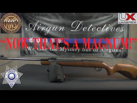 RWS (Diana) 350 Magnum N-TEC Classic