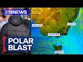 Polar blast hits Sydney | 9 News Australia