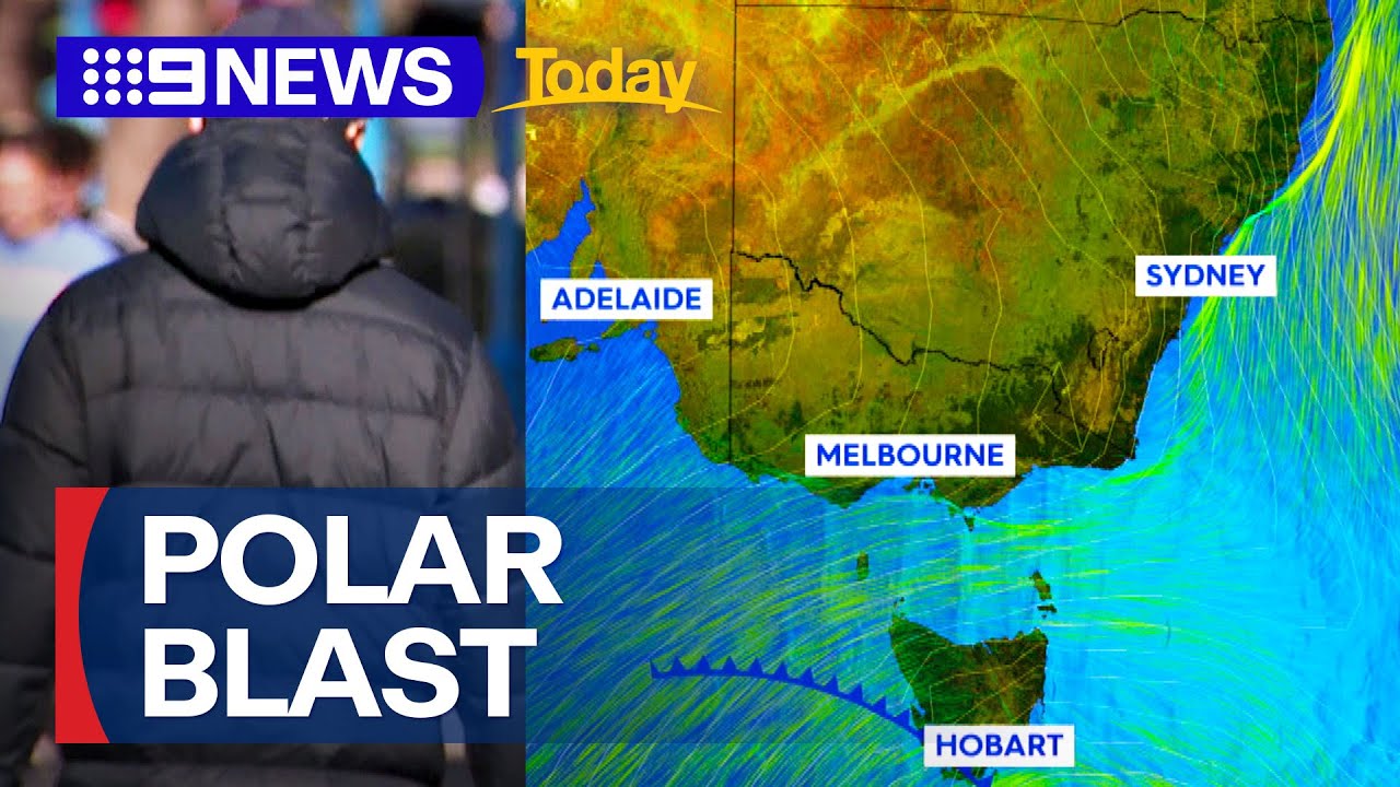 Polar blast hits Sydney | 9 News Australia