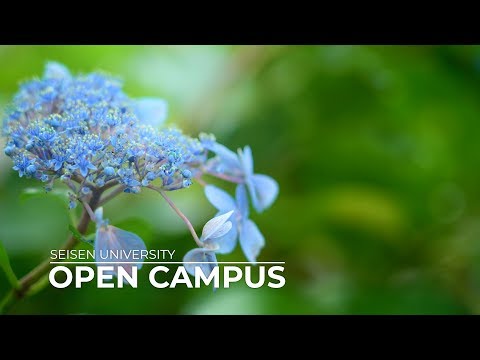 清泉女子大学オープンキャンパス