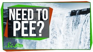 Why Does Running Water Make You Want To Pee?