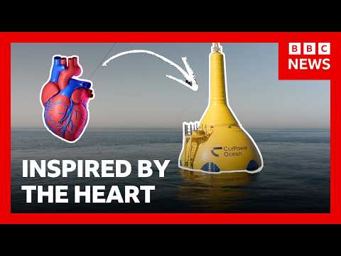How this wave energy system is inspired by the human heart | BBC News