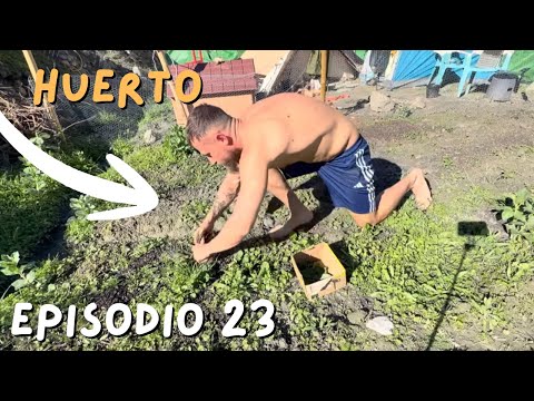 I ate from my garden for the first time - Ep. 23