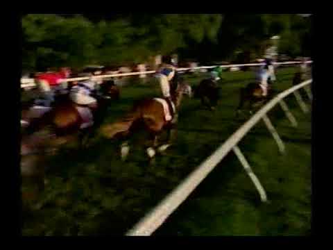 2002 United Insurance Barbados Derby - Oba Dove