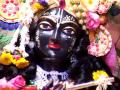 Hare Krishna Kirtan 10