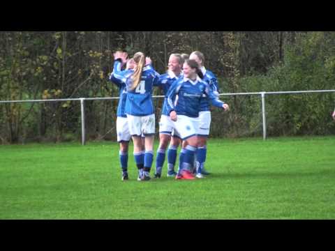 VIOD VR1- Someren VR1 21-11-2015
