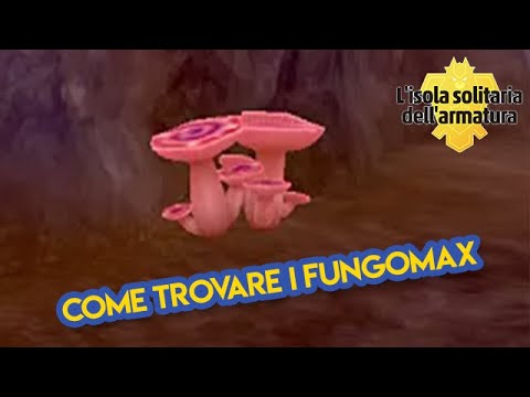 COME TROVARE I FUNGOMAX SULL'ISOLA DELL'ARMATURA POKEMON SPADA E SCUDO