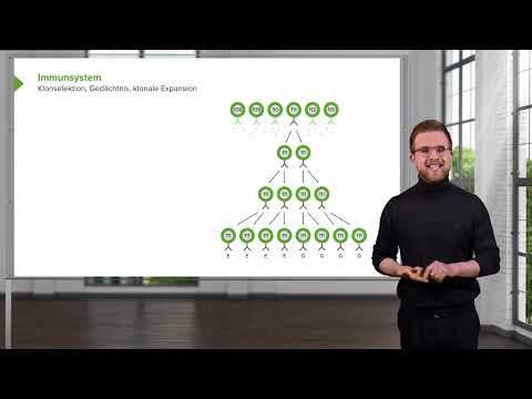 Immunsystem: Aufbau und Funktion des Immunsystems insb. angeborenes/adaptive Immunsystem