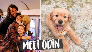 Our Family is Growing // Meet our new puppy!