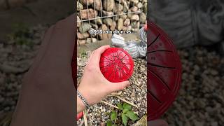 Download lagu The second one has such a chill vibe 😌 #raindrum #melody #music #chill mp3