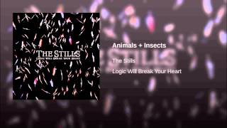 Animals + Insects