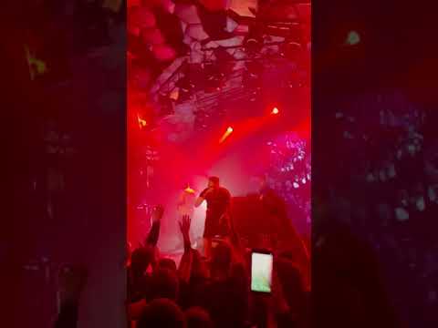 Horus - бензопила