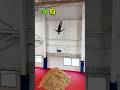 Parkour From The New Assassin S Creed Shadows IN REAL LIFE