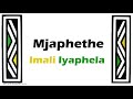 Mjaphethe Imali Iyaphela