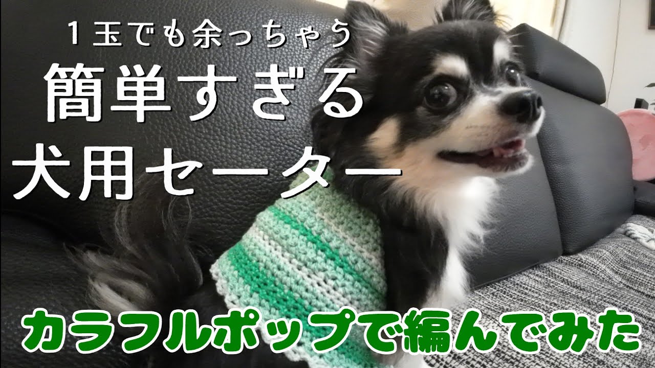 【かぎ針犬用セーター】サイズ調整OK とじはぎ無し１玉 こま編みだけで犬用セーターを編んでみました