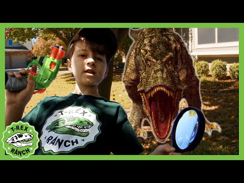 Can You Find the Baby T-Rex?! 🦖 | T-Rex Ranch Dinosaur Videos for Kids