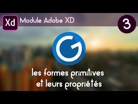 Tuto Adobe XD 3 les formes primitives et leurs propriétés
