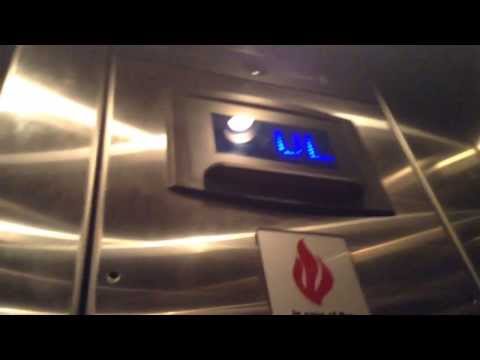 thyssenkrupp Elevator - Tropical Forest - Phipps Conservatory & Botanical Gardens - Pittsburgh, PA