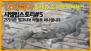 preview picture of video '캄보디아 씨엠립 톤레삽 호수 건기 시즌 "청크니아 수상촌"'