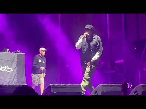 Rakaa Iriscience “War” Freestyle @ Reggae Rise Up (10.7.2023, Las Vegas)
