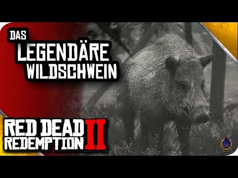RED DEAD REDEMPTION 2 🐎 Das legendäre Wildschwein