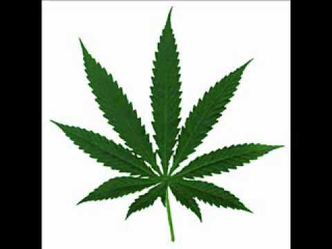 Zamotasupłany - Kwadrat Skład.