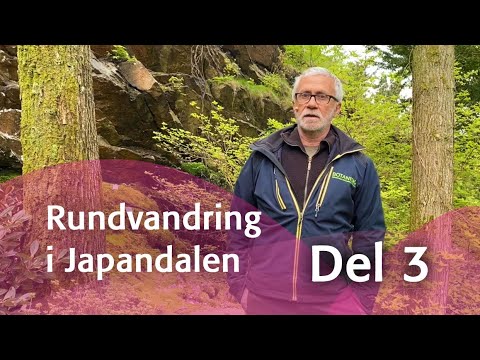 Rundvandring i Japandalen - del 3