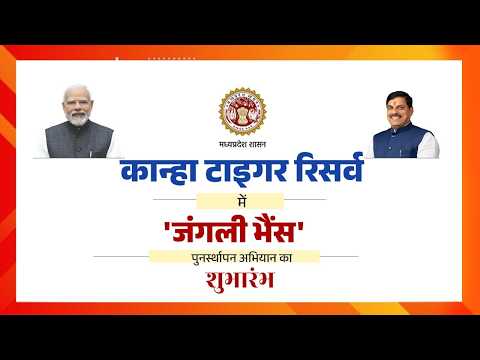 बालाघाट जिले के सूपखार एवं टोपला क्षेत्र में ‘जंगली भैंस’ पुनर्स्थापन अभियान का शुभारंभ