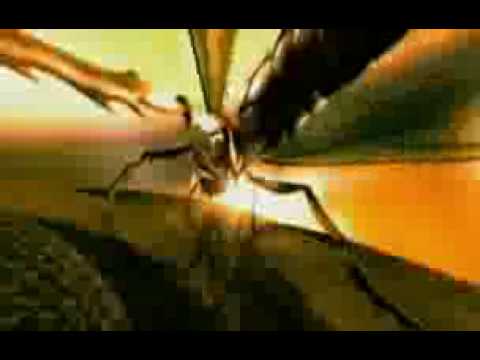 Dj Sensei - Gente felice