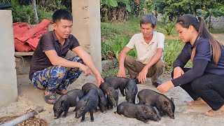 Would investing Trang’s remaining savings in a herd of pigs be a wise decision?