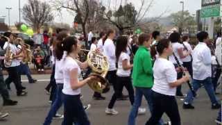 Wells Middle School Marching Band At The St. Patrick's Day Parade