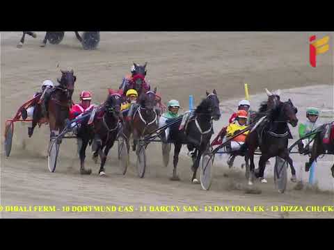 II Corsa del 8 Maggio 2022 - 3 Anni - Metri 2000