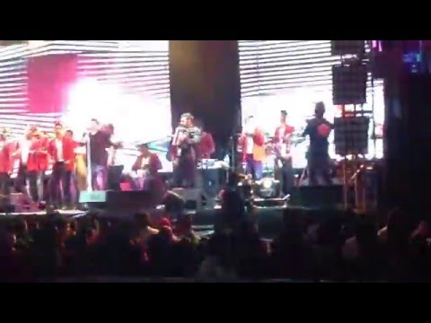 La Traga De Los Dos Mono Y Lucas