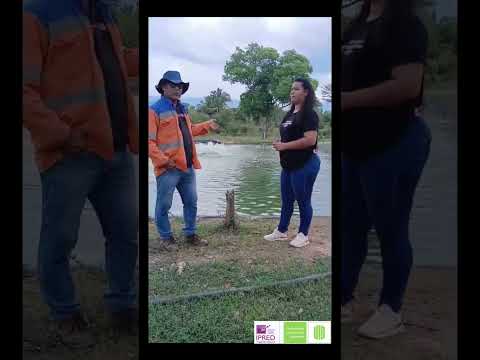 emprendiendo con los nuestros, empresa agroflover unidad pisicola becerril-cesar.