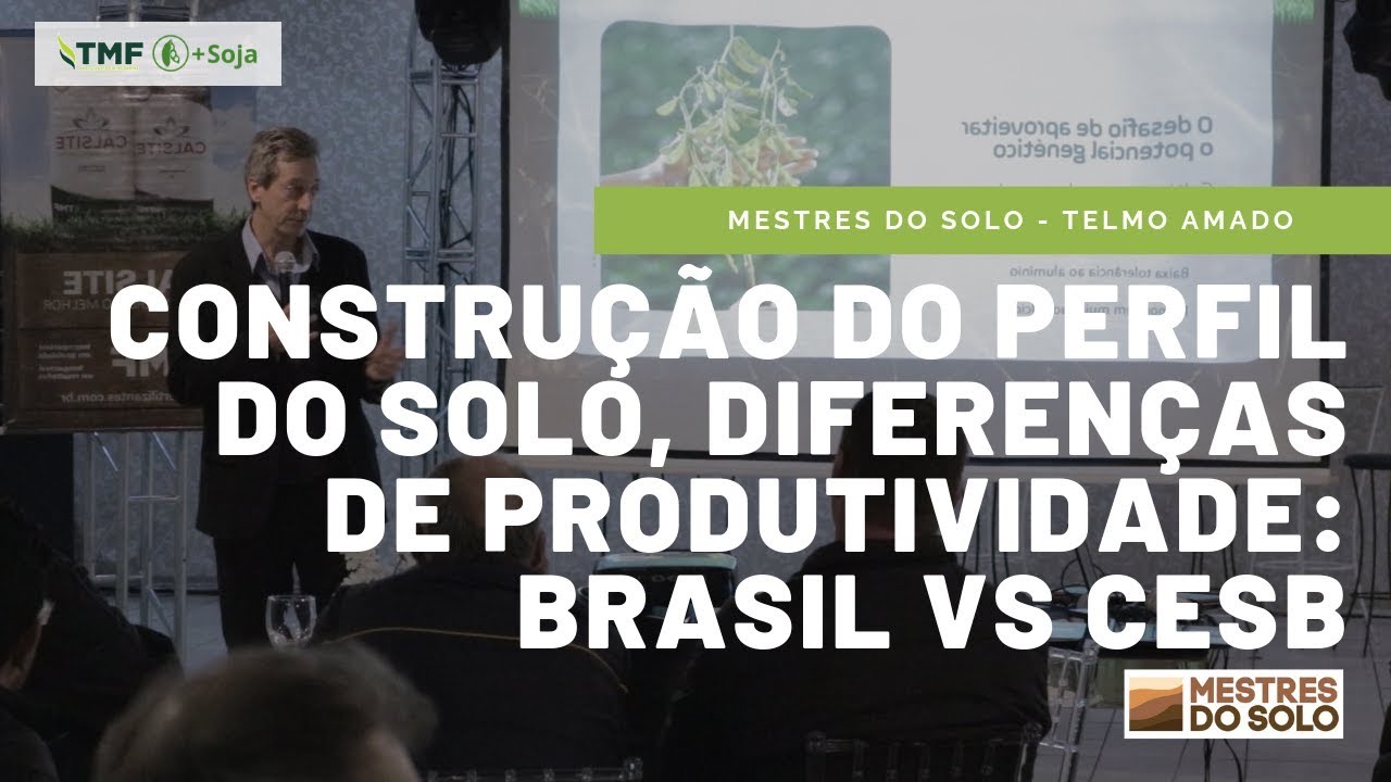 Construção do perfil do solo, diferenças de produtividade: Brasil vs CESB