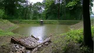 preview picture of video 'leśny strumień(forest stream)-urządzenia hydrotechniczne'