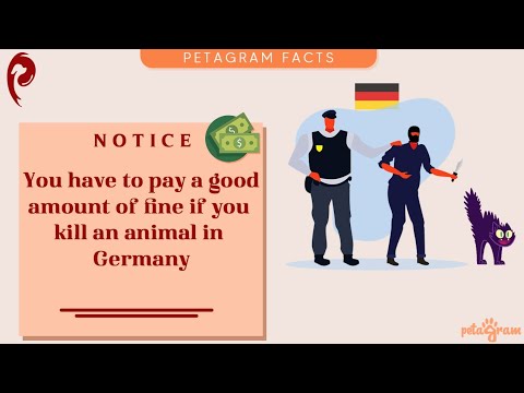 10 laws on Animals Protection in the world