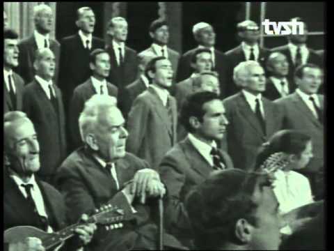 Kori LIRA - Drenovarja