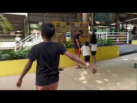 VLOG15 | Tiger 🐅 Kingdom, Phuket | Thailand Telugu Vlogs | Sreekar Karthik | Thailand