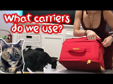 KITTY PET CARRIERS: which do I use for my cats?