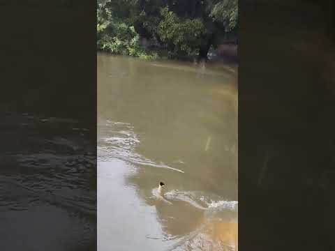 barragem do comocoxico Caculé Bahia 02/03/2026