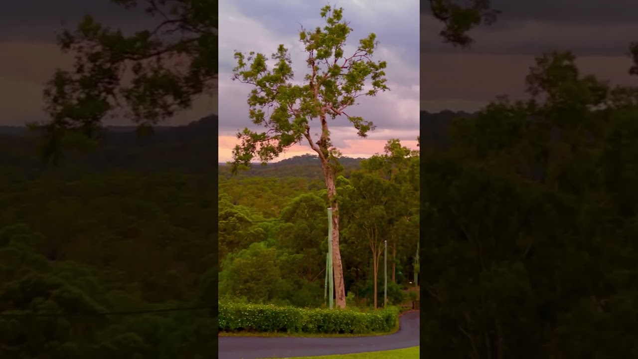 YouTube Short thumbnail