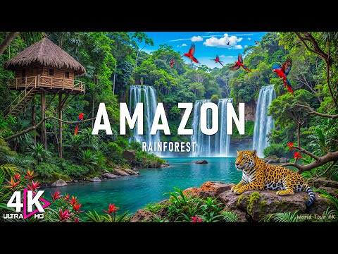 🌿 Amazon Rainforest 4K | Soothing Piano Music & Nature Sounds for Deep Calm 🌧️🎶