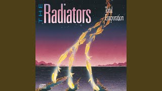 Music video thumbnail preview for A Grain Of Salt by The Radiators